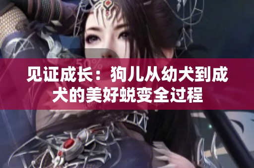 见证成长：狗儿从幼犬到成犬的美好蜕变全过程