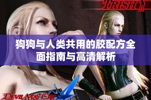 狗狗与人类共用的胶配方全面指南与高清解析