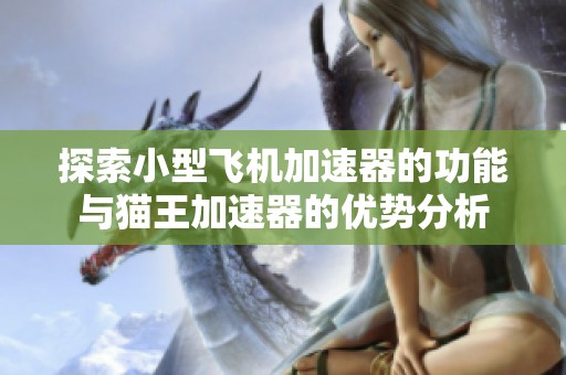 探索小型飞机加速器的功能与猫王加速器的优势分析