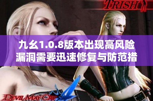 九幺1.0.8版本出现高风险漏洞需要迅速修复与防范措施