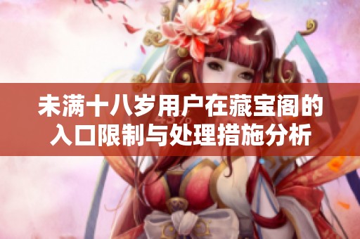 未满十八岁用户在藏宝阁的入口限制与处理措施分析