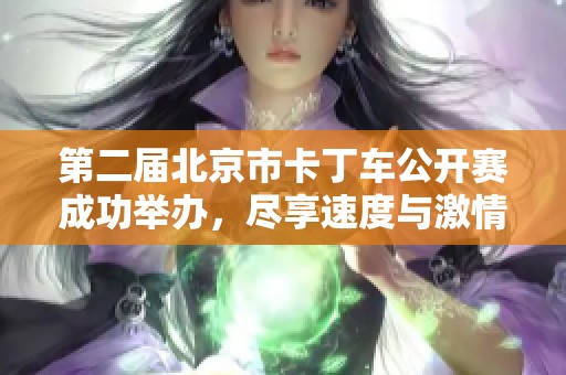 第二届北京市卡丁车公开赛成功举办，尽享速度与激情的绝佳体验