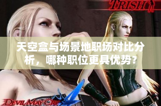天空盒与场景地职场对比分析，哪种职位更具优势？