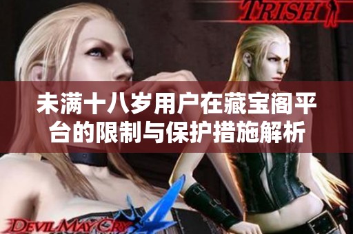 未满十八岁用户在藏宝阁平台的限制与保护措施解析