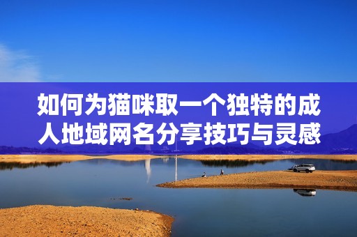 如何为猫咪取一个独特的成人地域网名分享技巧与灵感