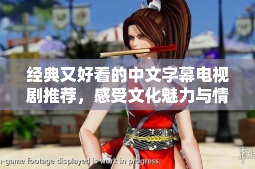 经典又好看的中文字幕电视剧推荐，感受文化魅力与情感共鸣