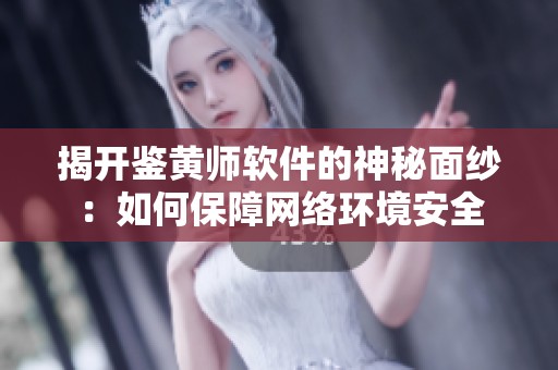 揭开鉴黄师软件的神秘面纱：如何保障网络环境安全