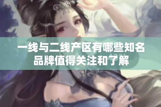 一线与二线产区有哪些知名品牌值得关注和了解