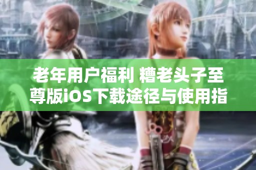 老年用户福利 糟老头子至尊版iOS下载途径与使用指南