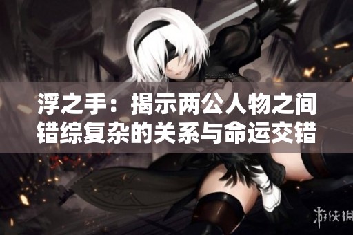 浮之手：揭示两公人物之间错综复杂的关系与命运交错