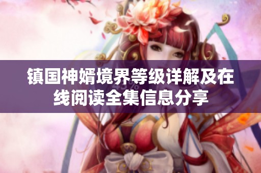 镇国神婿境界等级详解及在线阅读全集信息分享