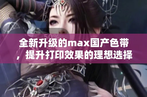全新升级的max国产色带，提升打印效果的理想选择