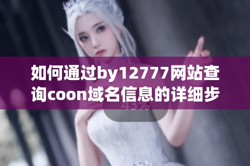如何通过by12777网站查询coon域名信息的详细步骤