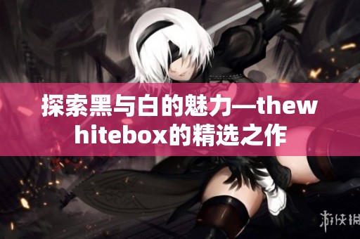 探索黑与白的魅力—thewhitebox的精选之作