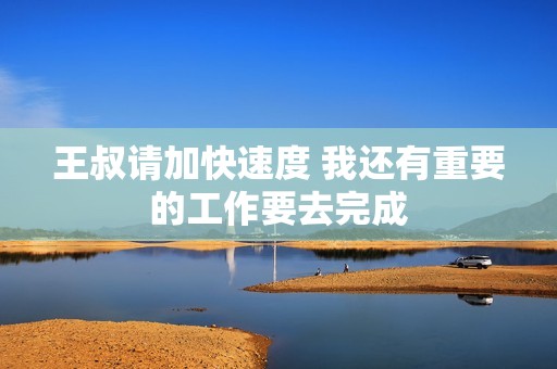 王叔请加快速度 我还有重要的工作要去完成