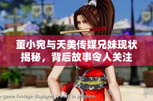 董小宛与天美传媒兄妹现状揭秘，背后故事令人关注