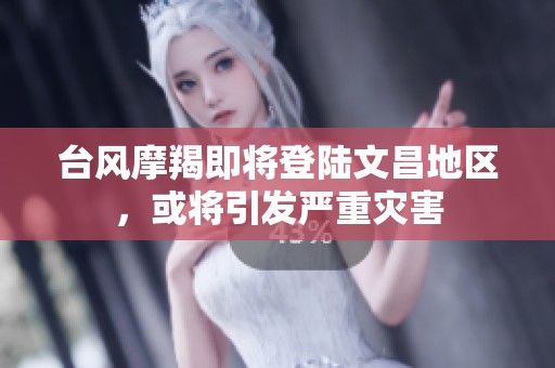 台风摩羯即将登陆文昌地区，或将引发严重灾害