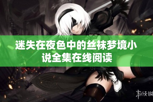 迷失在夜色中的丝袜梦境小说全集在线阅读