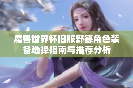 魔兽世界怀旧服野德角色装备选择指南与推荐分析