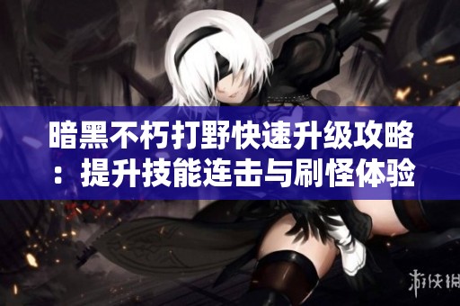 暗黑不朽打野快速升级攻略：提升技能连击与刷怪体验技巧
