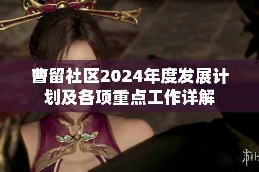 曹留社区2024年度发展计划及各项重点工作详解