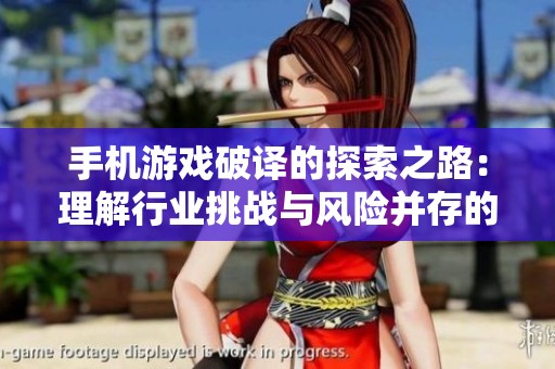 手机游戏破译的探索之路：理解行业挑战与风险并存的未来