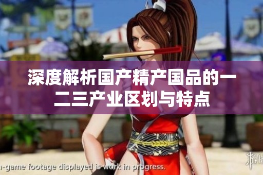 深度解析国产精产国品的一二三产业区划与特点
