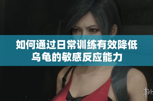 如何通过日常训练有效降低乌龟的敏感反应能力