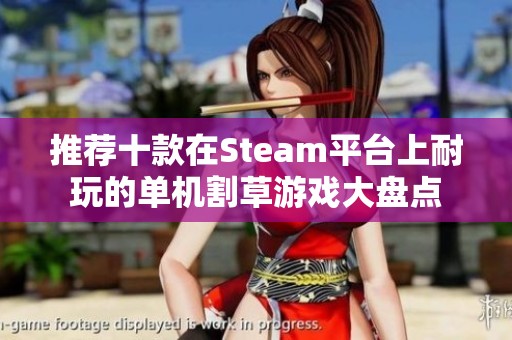 推荐十款在Steam平台上耐玩的单机割草游戏大盘点