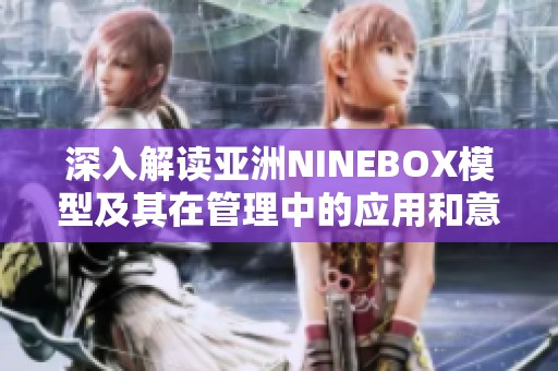 深入解读亚洲NINEBOX模型及其在管理中的应用和意义