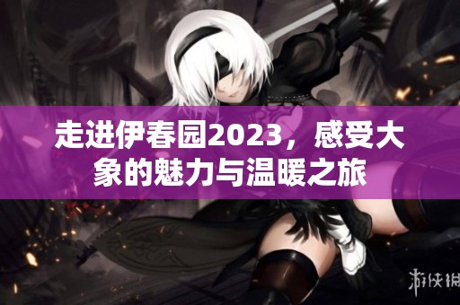 走进伊春园2023，感受大象的魅力与温暖之旅