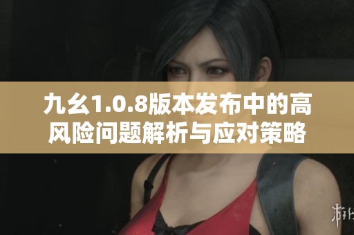 九幺1.0.8版本发布中的高风险问题解析与应对策略