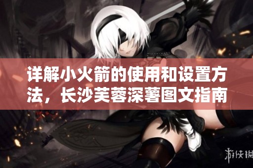 详解小火箭的使用和设置方法，长沙芙蓉深薯图文指南