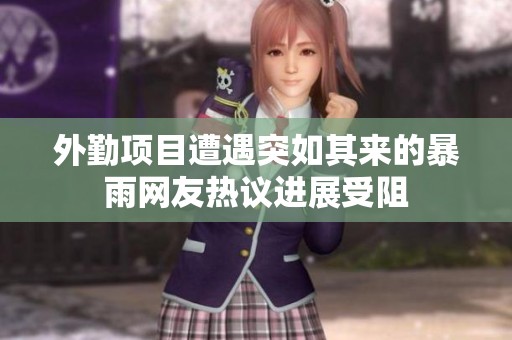 外勤项目遭遇突如其来的暴雨网友热议进展受阻