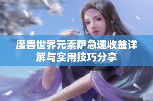 魔兽世界元素萨急速收益详解与实用技巧分享