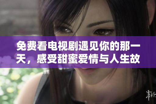 免费看电视剧遇见你的那一天，感受甜蜜爱情与人生故事