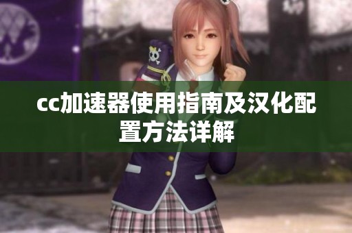cc加速器使用指南及汉化配置方法详解