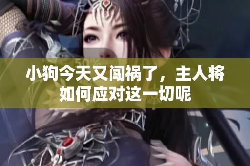 小狗今天又闯祸了，主人将如何应对这一切呢