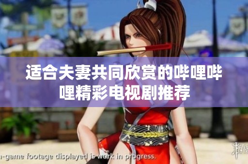 适合夫妻共同欣赏的哔哩哔哩精彩电视剧推荐