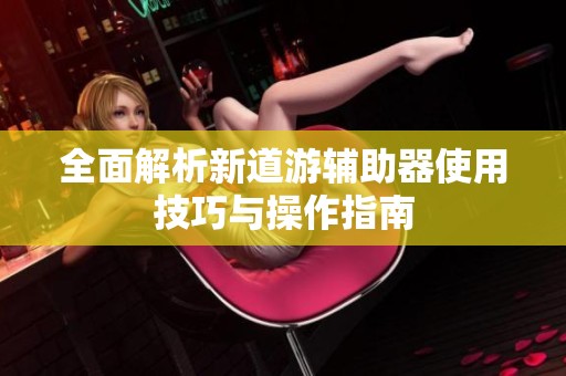 全面解析新道游辅助器使用技巧与操作指南
