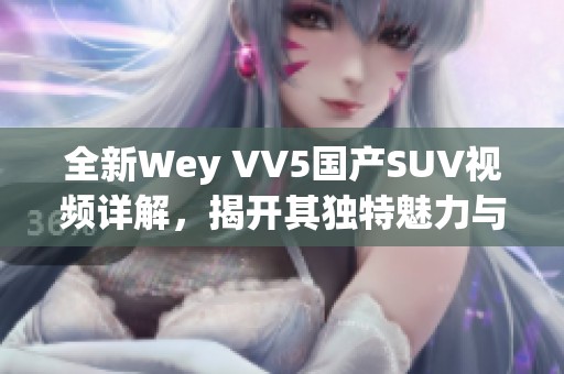 全新Wey VV5国产SUV视频详解，揭开其独特魅力与性能之道