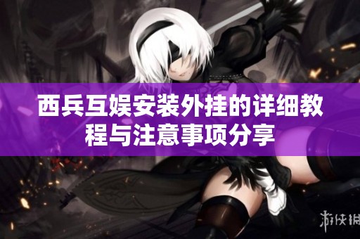 西兵互娱安装外挂的详细教程与注意事项分享