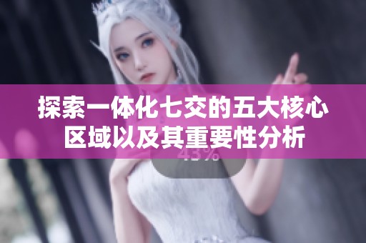 探索一体化七交的五大核心区域以及其重要性分析