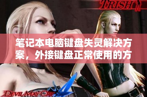 笔记本电脑键盘失灵解决方案，外接键盘正常使用的方法