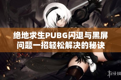 绝地求生PUBG闪退与黑屏问题一招轻松解决的秘诀