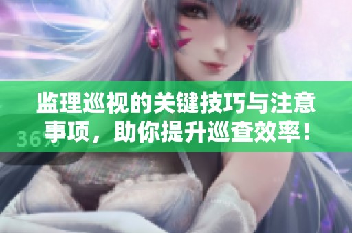 监理巡视的关键技巧与注意事项，助你提升巡查效率！