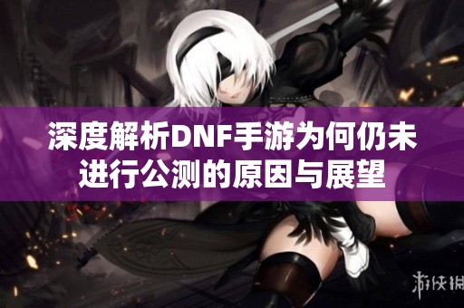 深度解析DNF手游为何仍未进行公测的原因与展望