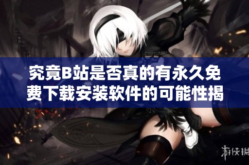 究竟B站是否真的有永久免费下载安装软件的可能性揭秘
