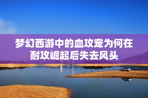 梦幻西游中的血攻宠为何在耐攻崛起后失去风头