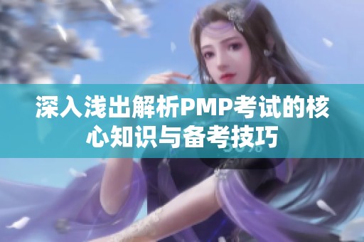 深入浅出解析PMP考试的核心知识与备考技巧